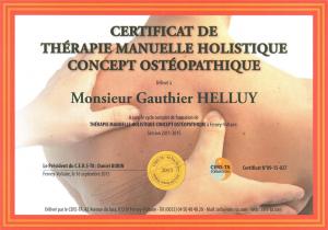 Certificat technique manuelle holistique concept osteopathique